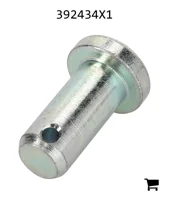 AGCO 392434X1 Палец вилки