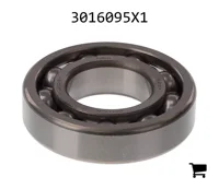 AGCO 3016095X1 Шариковый подшипник