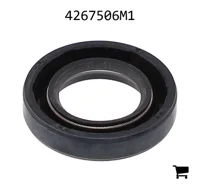 AGCO 4267506M1 Масляный сальник