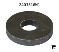 AGCO 2403610W1 Шайба