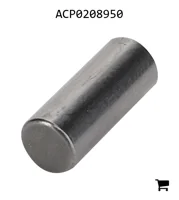 AGCO ACP0208950 Иголка