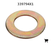AGCO 339794X1 Плоская шайба