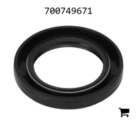 AGCO 700749671 Масляный сальник