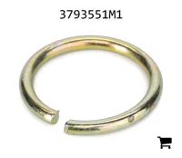 AGCO 3793551M1 Зажим