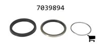 AGCO 7039894 Комплект сальников