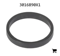 AGCO 3016890X1 Плоское уплотнение