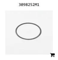 AGCO 3098252M1 Шайба