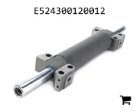 AGCO E524300120012 Рулевой цилиндр