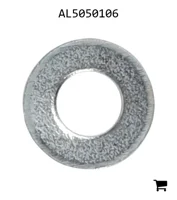 AGCO AL5050106 Шайба