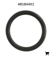 AGCO 401844X1 Уплотнительное кольцо