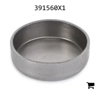 AGCO 391560X1 Заглушка