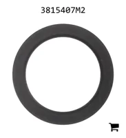 AGCO 3815407M2 Упорная шайба