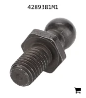 AGCO 4289381M1 Ось поворота