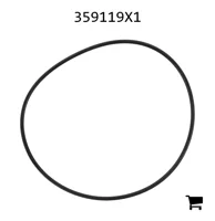 AGCO 359119X1 Уплотнительное кольцо