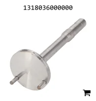 AGCO 1318036000000 Вал