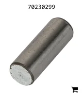 AGCO 70230299 Палец