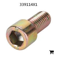 AGCO 339114X1 Винт с цилиндрической головкой и шестигранным углублением