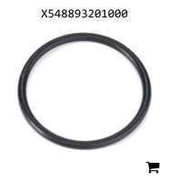 AGCO X548893201000 Уплотнительное кольцо корпуса оси