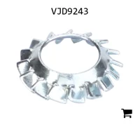 AGCO VJD9243 Шайба