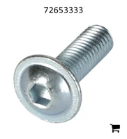 AGCO 72653333 Винт
