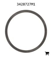 AGCO 3428727M1 Шайба