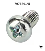 AGCO 7078791M1 Винт самонарезающий с шестигранной головкой