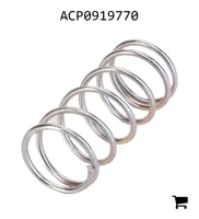 AGCO ACP0919770 Пружина