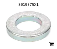 AGCO 3019575X1 Плоская шайба