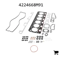 AGCO 4224668M91 Комплект соединений и прокладок