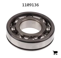 AGCO 1109136 Цилиндрический шариковый подшипник