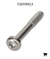 AGCO 72659913 Винт с головкой Torx