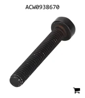 AGCO ACW0938670 Винт с цилиндрической головкой и шестигранным углублением