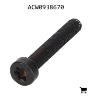 AGCO ACW0938670 Винт с цилиндрической головкой и шестигранным углублением