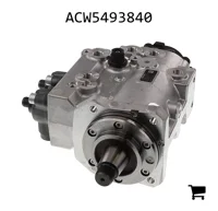 AGCO ACW5493840 ТНВД