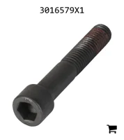 AGCO 3016579X1 Винт с цилиндрической головкой и шестигранным углублением