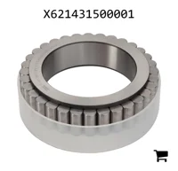 AGCO X621431500001 Цилиндрический роликовый подшипник