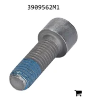 AGCO 3909562M1 Болт