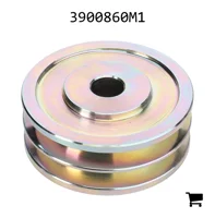 AGCO 3900860M1 Шкив