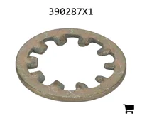 AGCO 390287X1 Зубчатая шайба