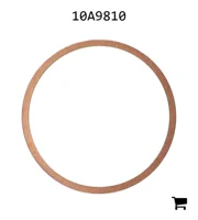 AGCO 10A9810 Прокладка