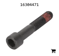 AGCO 16304471 Винт