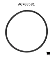 AGCO AG708581 Уплотнительное кольцо поршня