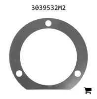 AGCO 3039532M2 Регулировочная шайба