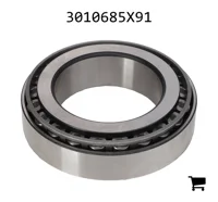 AGCO 3010685X91 Подшипниковый узел