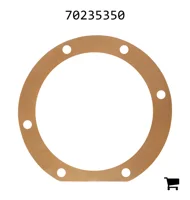 AGCO 70235350 Шайба