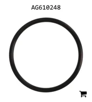 AGCO AG610248 Уплотнительное кольцо