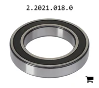 AGCO 2.2021.018.0 Шариковый подшипник