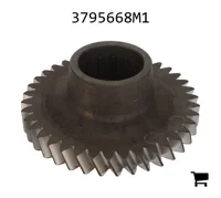 AGCO 3795668M1 Шестерня