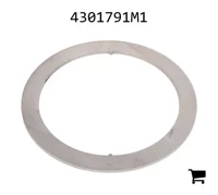 AGCO 4301791M1 Шайба