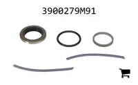 AGCO 3900279M91 Комплект сальников